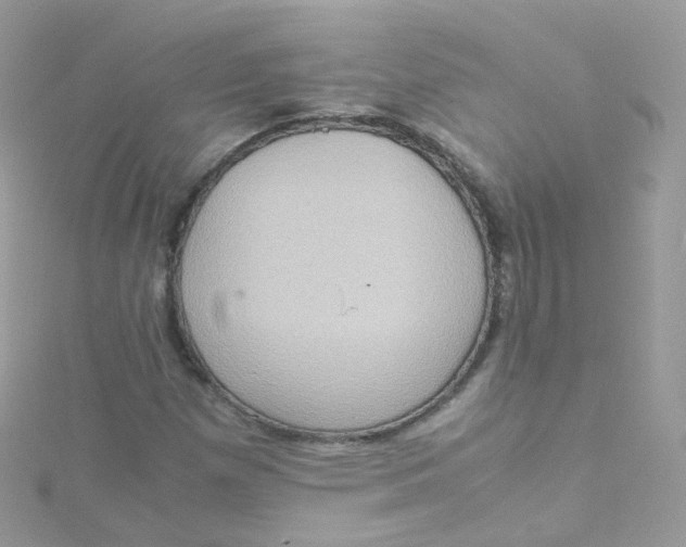 X0000115511257200911271423