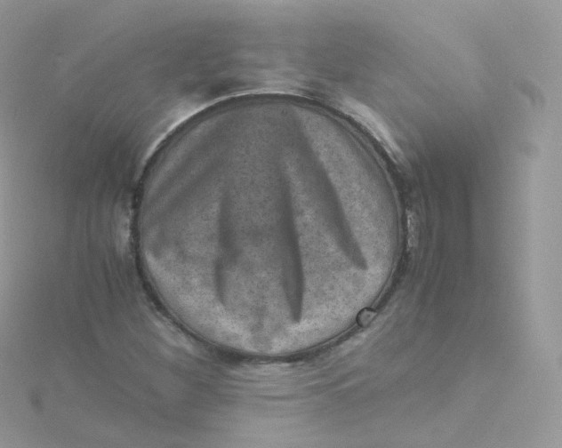 X0000115511260200911271423