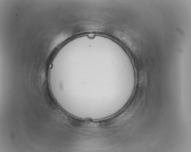 X0000115511261200911271423