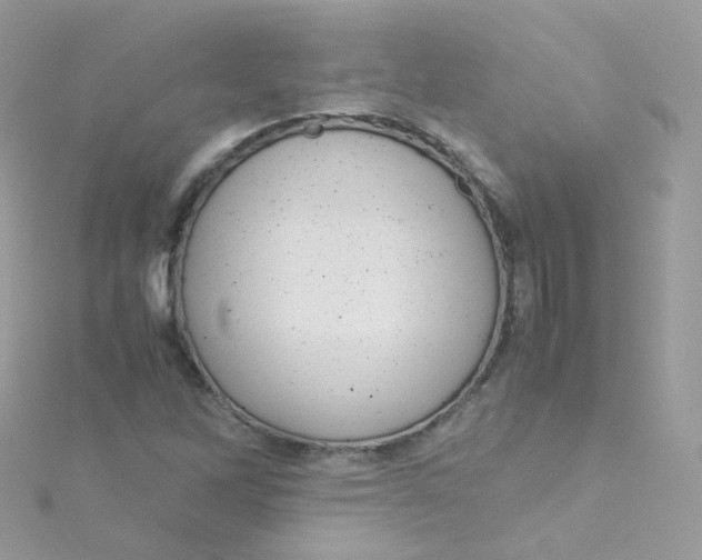 X0000115511262200911271423