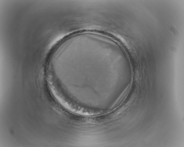 X0000115511263200911271423