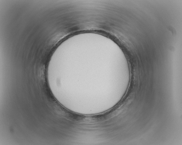 X0000115511265200911271423