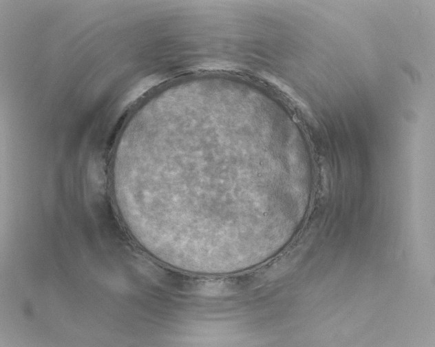 X0000115511266200911271423