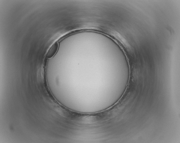 X0000115511268200911271423