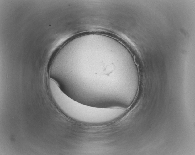 X0000115511269200911271423