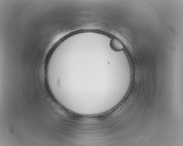 X0000115511270200911271423