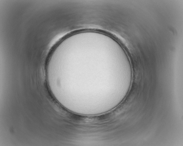 X0000115511271200911271423