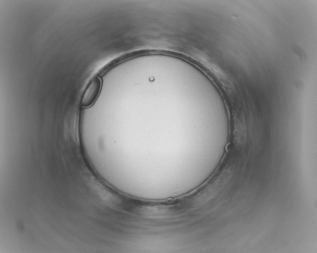 X0000115511272200911271423