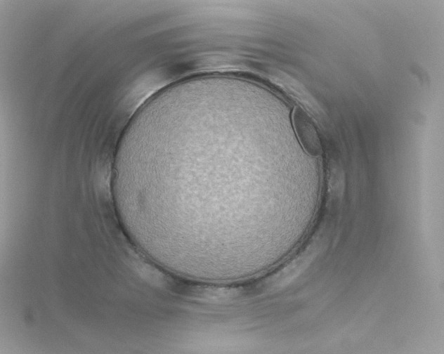 X0000115511273200911271423