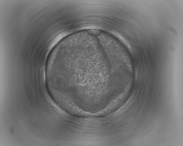 X0000115511274200911271423