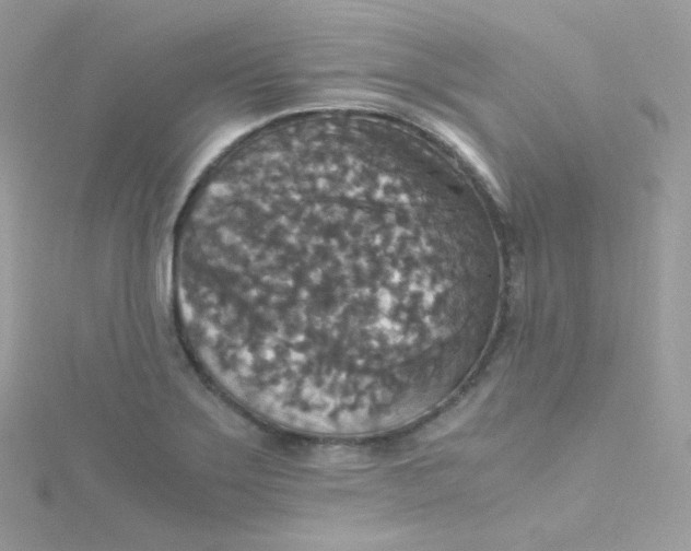 X0000115511275200911271423