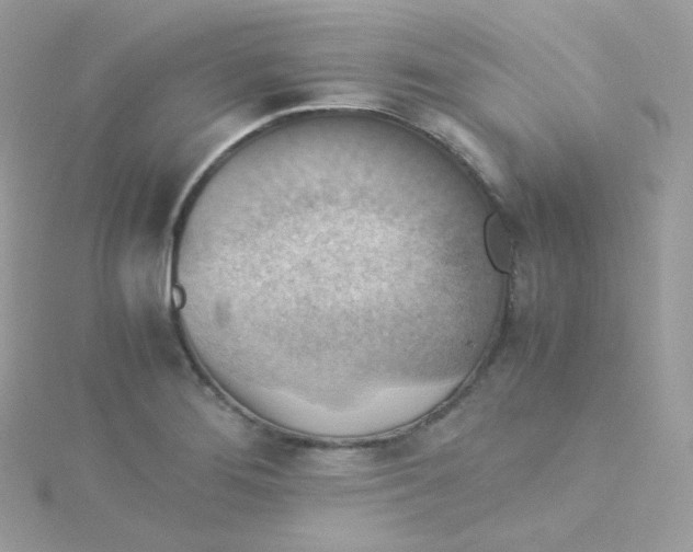 X0000115511276200911271423