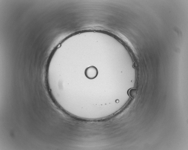 X0000115511277200911271423