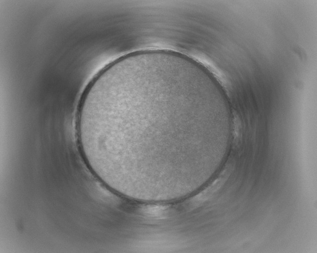 X0000115511278200911271423