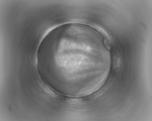 X0000115511280200911271423