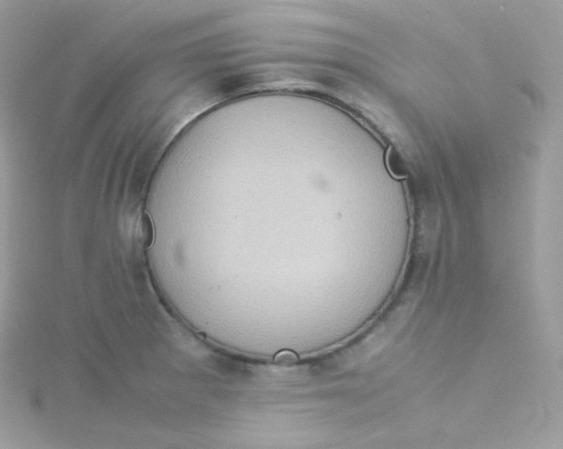 X0000115511281200911271423