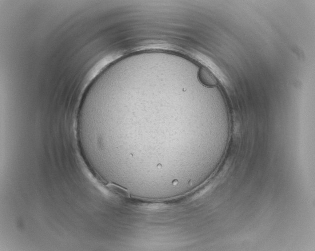 X0000115511282200911271423