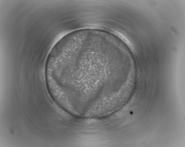 X0000115511283200911271423