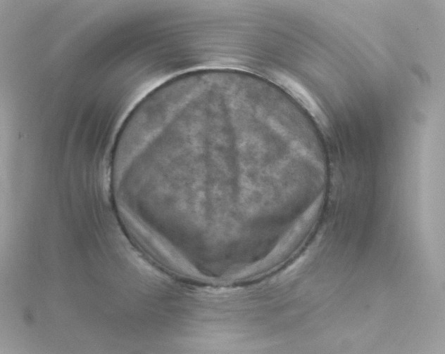 X0000115511284200911271423