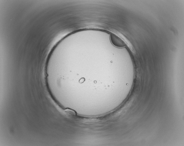 X0000115511285200911271423