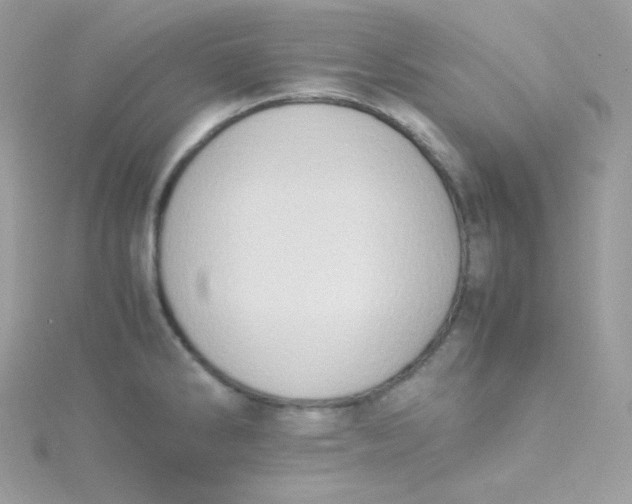 X0000115511286200911271423