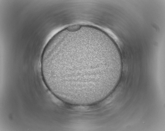 X0000115511287200911271423