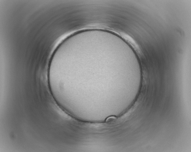 X0000115511288200911271423