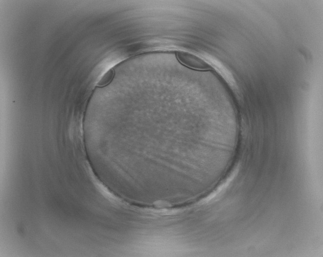 X0000115511289200911271423