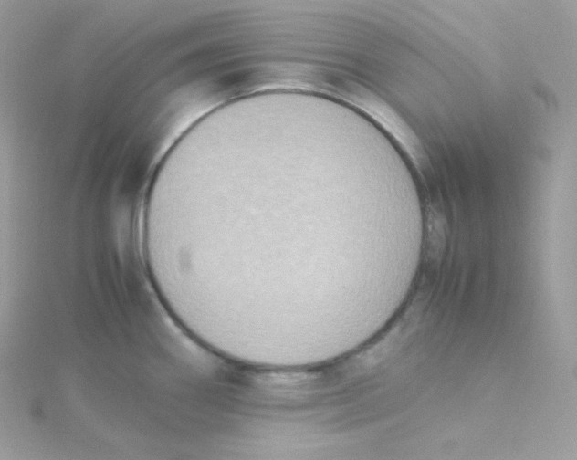 X0000115511290200911271423