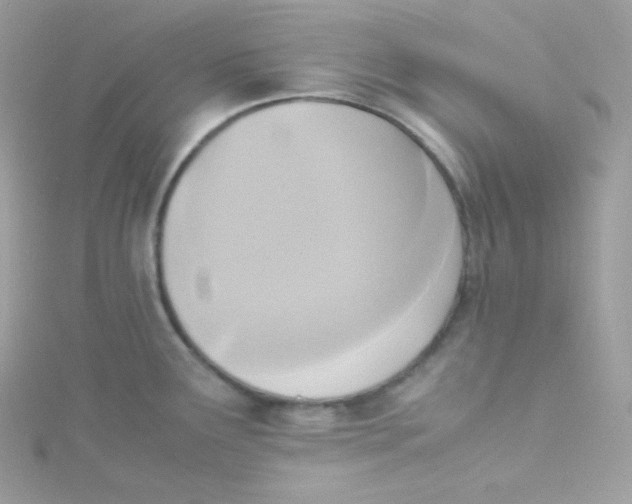 X0000115511291200911271423