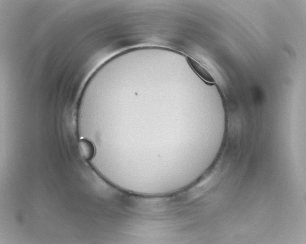 X0000115511292200911271423