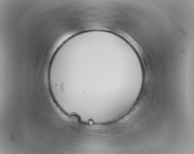 X0000115511293200911271423