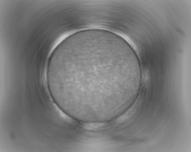 X0000115511294200911271423