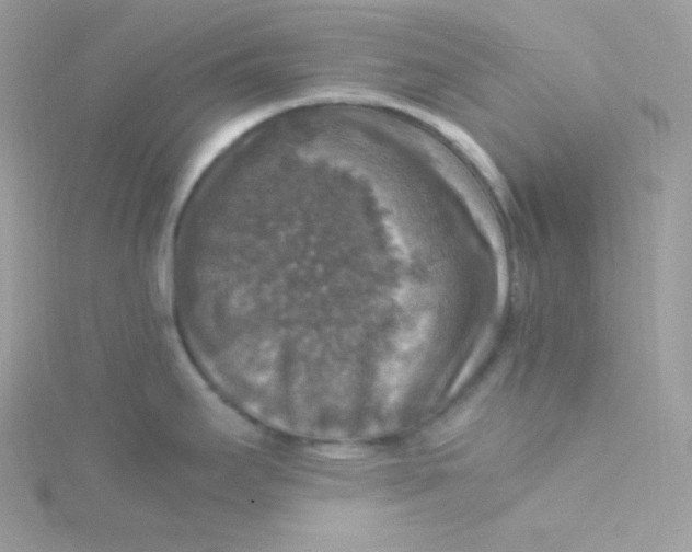 X0000115511295200911271423