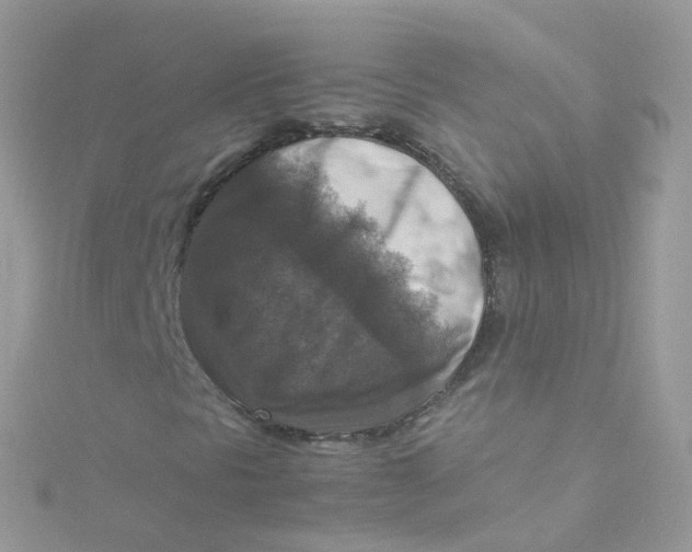 X0000115511297200911271422