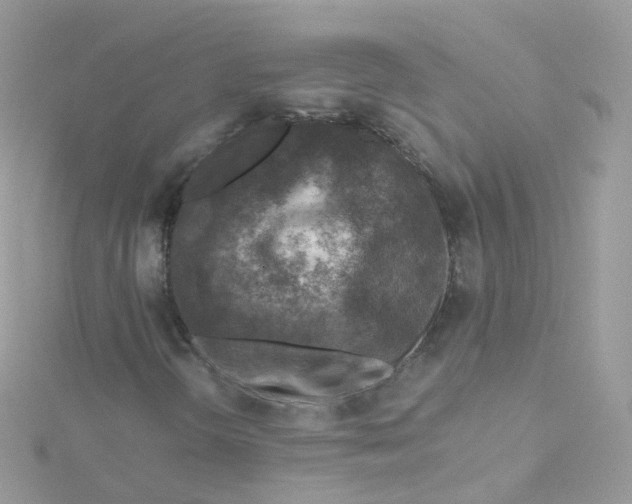 X0000115511298200911271422