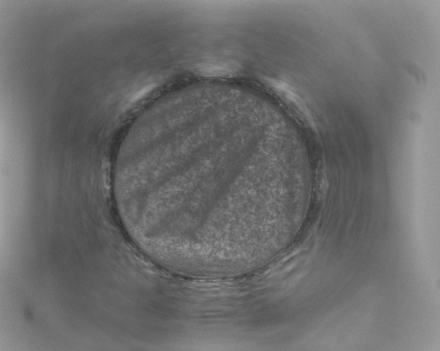 X0000115511301200911271422