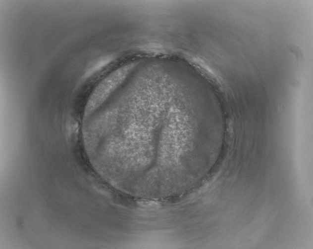 X0000115511302200911271422