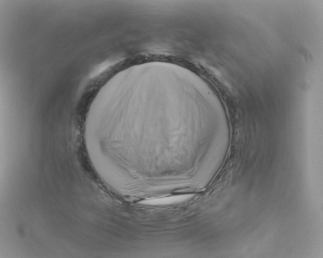 X0000115511303200911271422