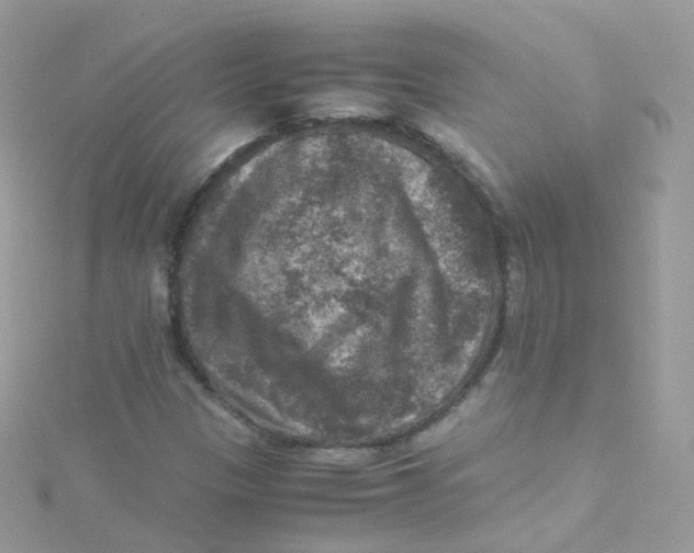 X0000115511305200911271422