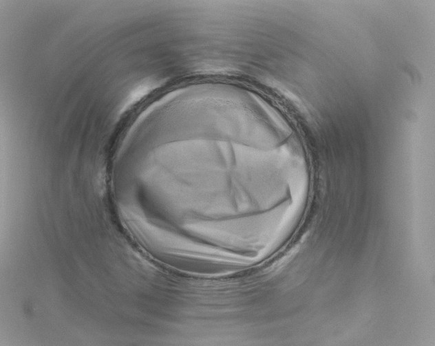 X0000115511306200911271422