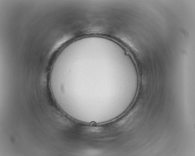 X0000115511309200911271422