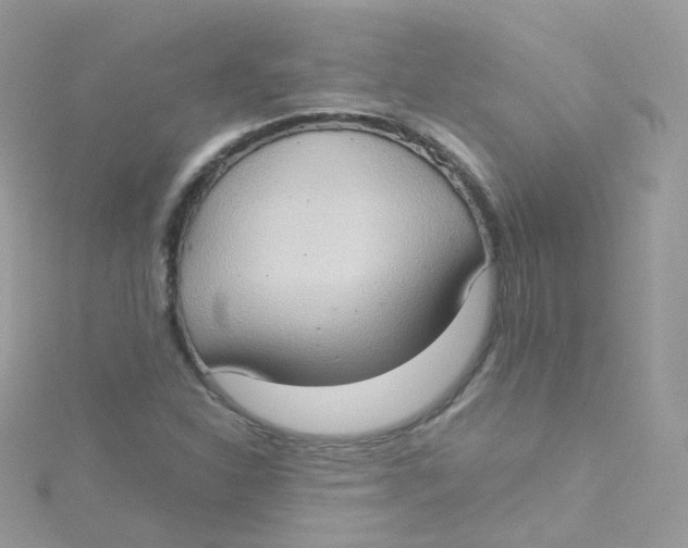 X0000115511310200911271422