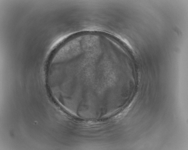 X0000115511311200911271422