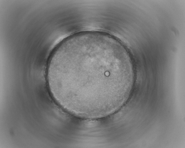 X0000115511314200911271422