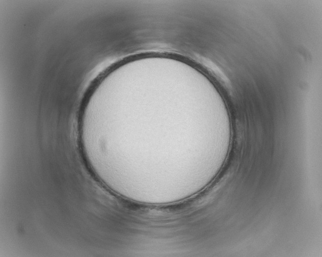 X0000115511318200911271422