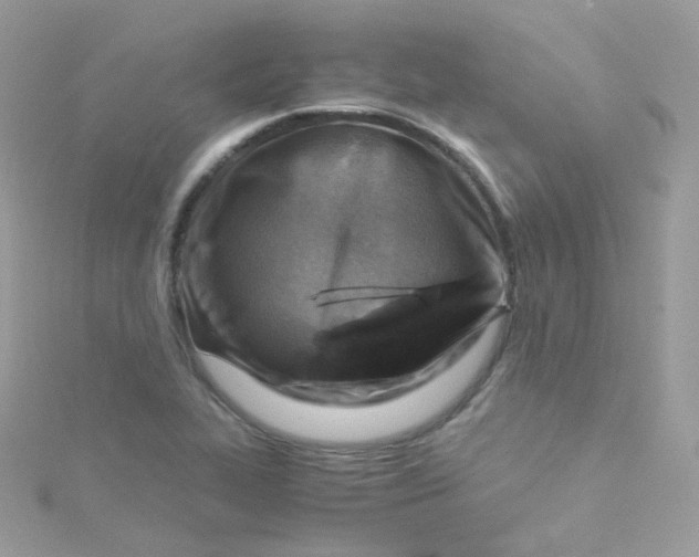 X0000115511319200911271422