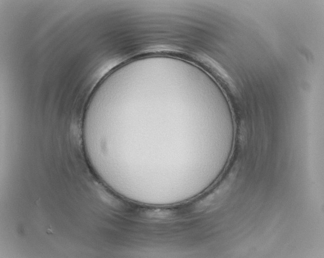 X0000115511321200911271422