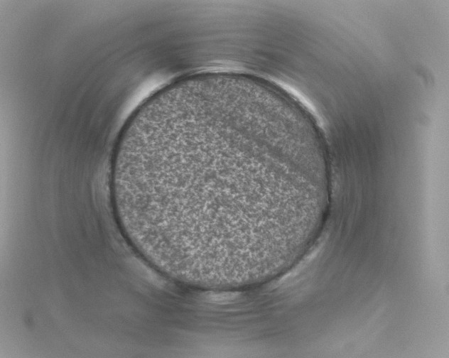 X0000115511325200911271422