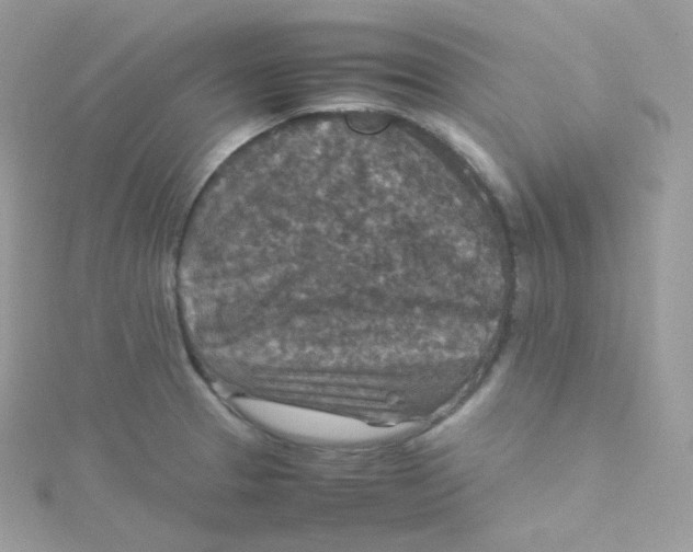 X0000115511329200911271422